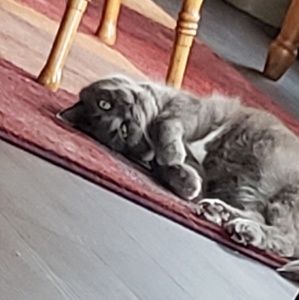 Meet your Posher, Angela